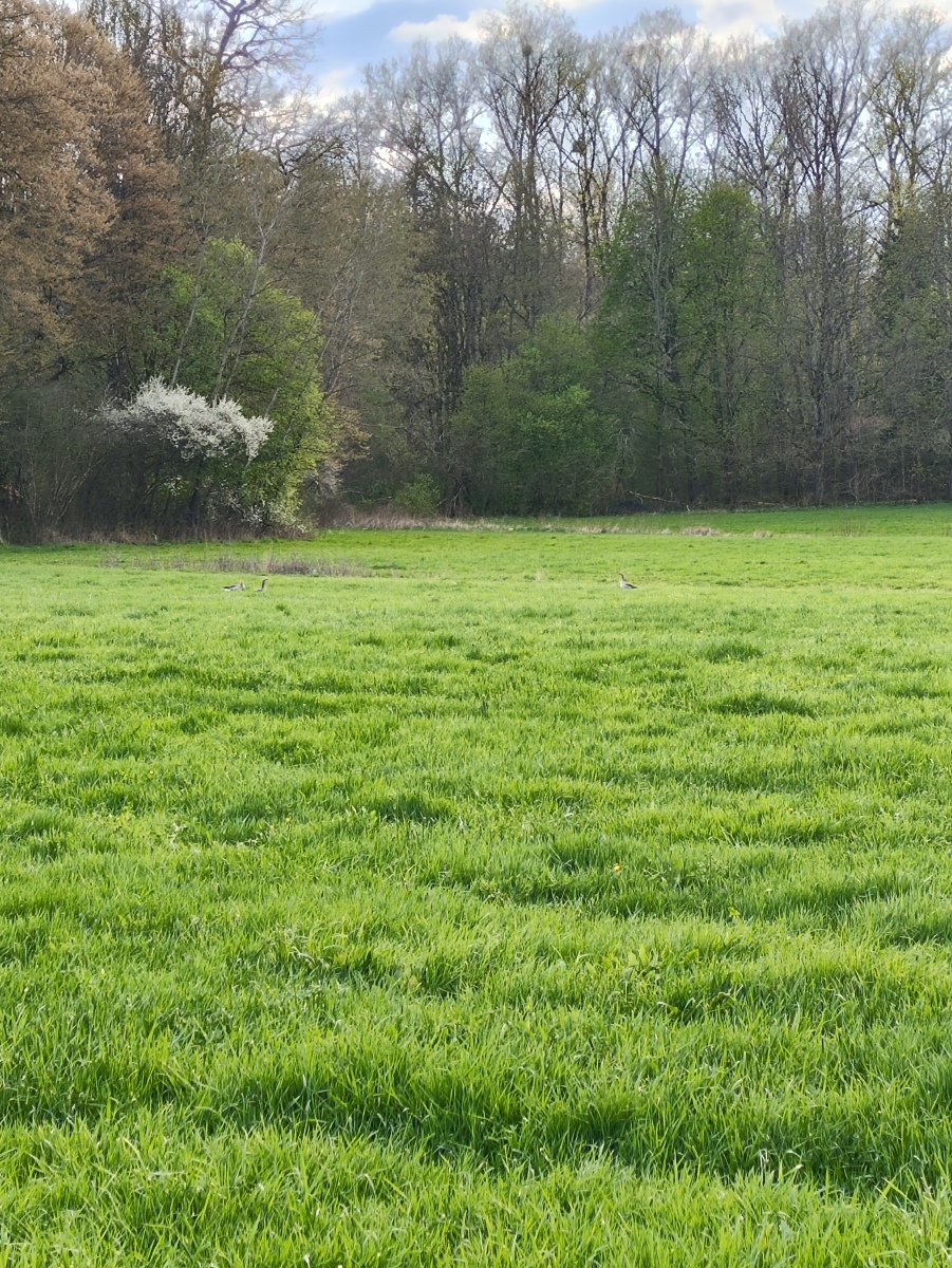 Tag 01 – Testetappe